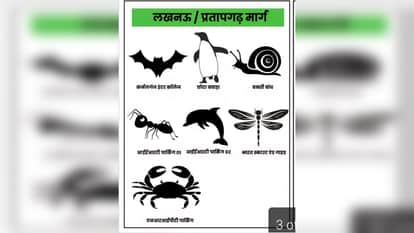 Magh Mela Prayagraj: Animal symbols being used to mark parking