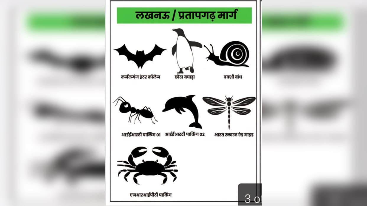 Magh Mela Prayagraj: Animal symbols being used to mark parking
