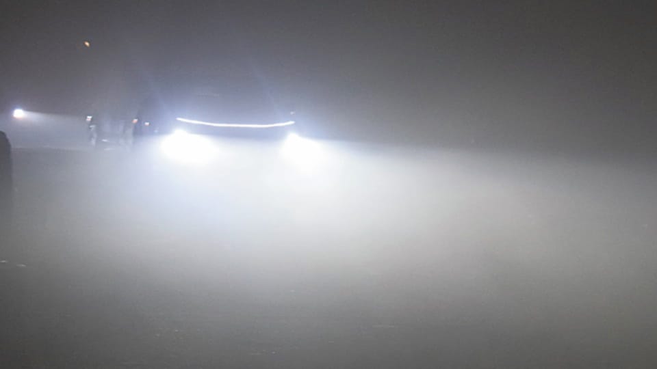 West UP Weather: Cold Wave and Dense Fog Grip Western UP, Friday Becomes Coldest Day of the Season