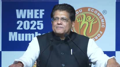 Why has India's potential been underestimated? Piyush Goyal questions the Hindu growth rate