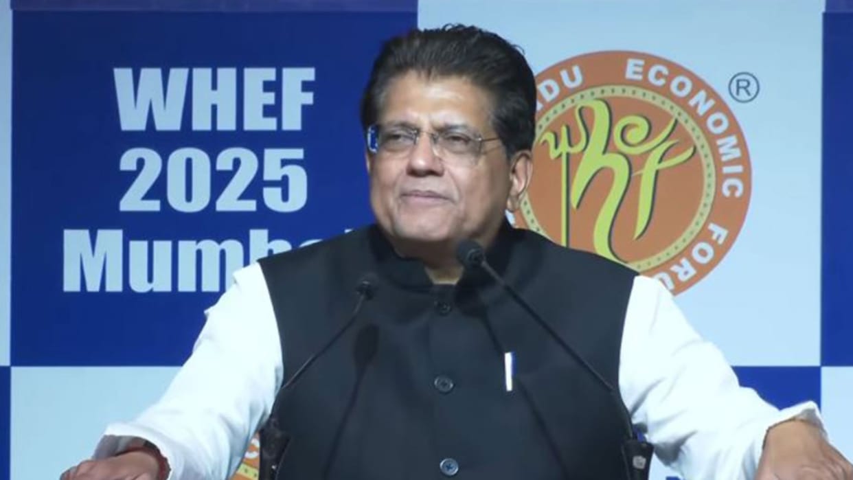 Why has India's potential been underestimated? Piyush Goyal questions the Hindu growth rate
