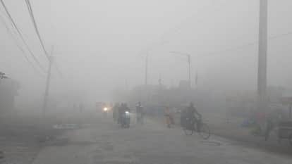 Punjab shivers under severe cold Dense fog light rain alert issued from today