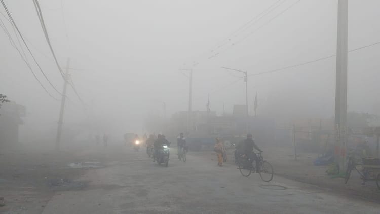 पंजाब में घना कोहरा: फिरोजपुर में सड़क हादसे में रोडवेज चालक की मौत, अगले तीन दिन का अलर्ट जारी