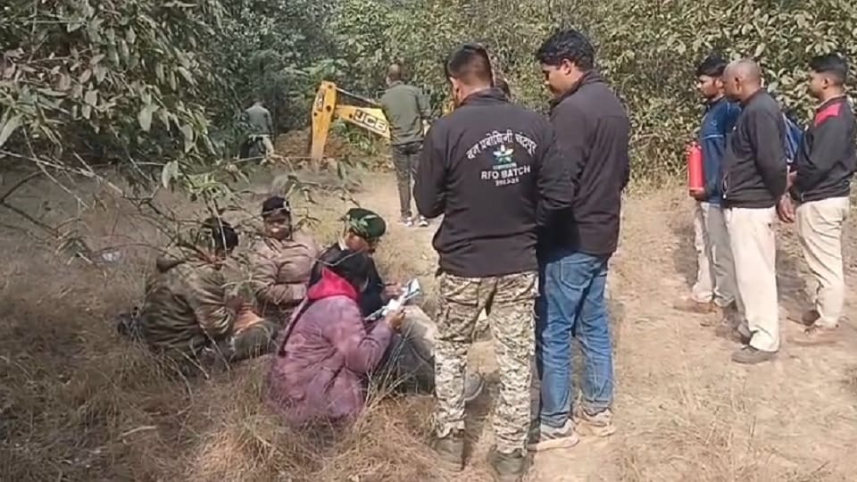 A baby elephant died after drowning in a pond in Raigarh