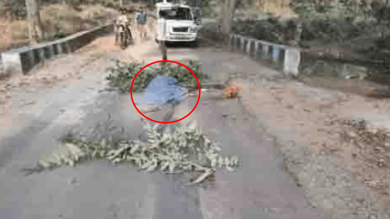 सड़क हादसे में बुजुर्ग की मौत