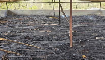 Two thousand chickens were burnt to ashes after a fire broke out at a poultry farm in Tadigaon in the Thal