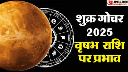 Venus Transit 2025 On 20 December 2025 In Dhanu Rashi Know Impact On Taurus Zodiac Signs