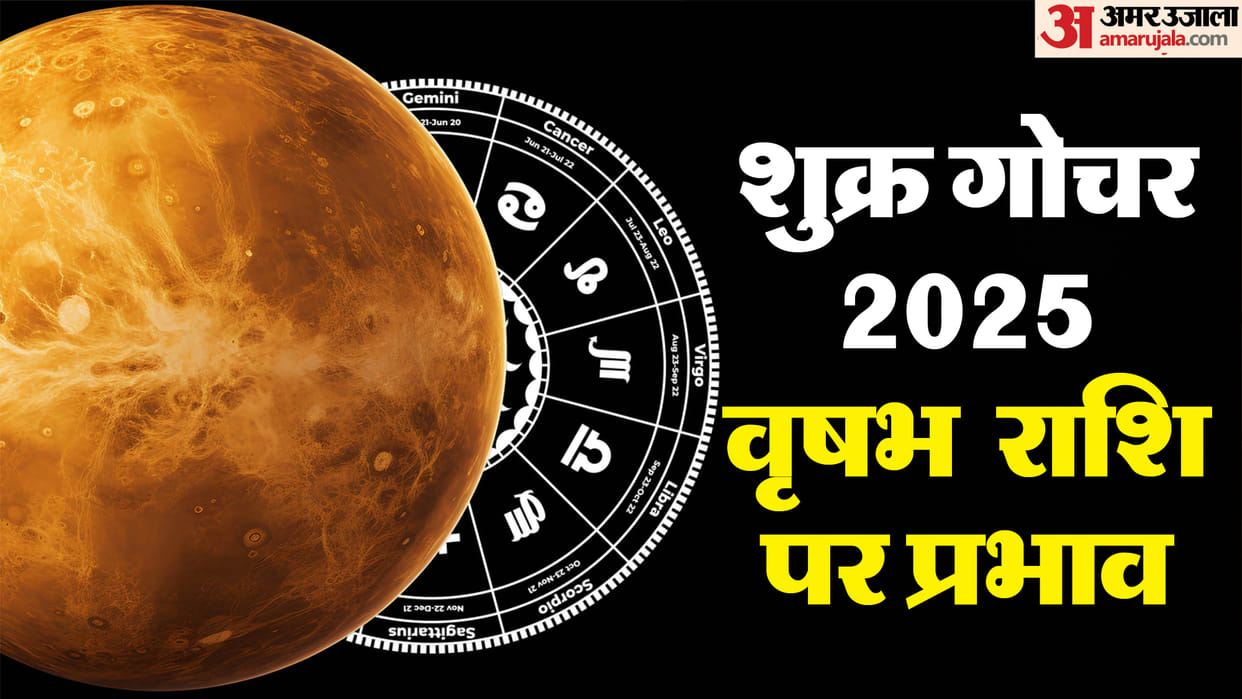 Venus Transit 2025 On 20 December 2025 In Dhanu Rashi Know Impact On Taurus Zodiac Signs