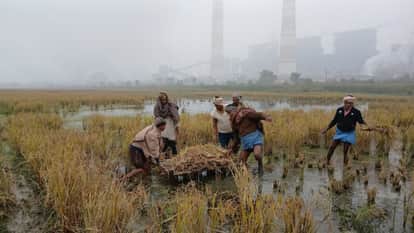 Bihar : Many acres of crops destroyed by chemical water of NTPC badh patna bihar
