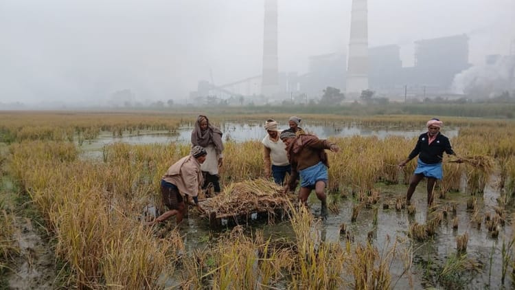 Bihar News : डेढ़ सौ बीघा फसल बर्बाद, NTPC प्लांट से निकले रासायनिक पानी का बुरा असर