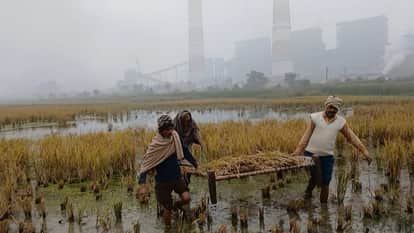 Bihar : Many acres of crops destroyed by chemical water of NTPC badh patna bihar