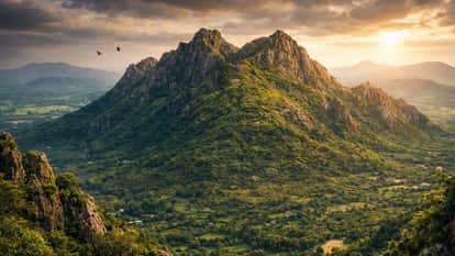 Mewat RTI Forum gave memorandum to name of President and Prime Minister in Aravalli Mountain issue