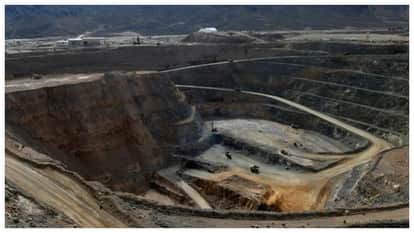 Business updates Parliamentary panel suggests funding boost for state-owned IREL to prioritise rare earth mini