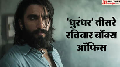 Dhurandhar Box Office Collection Day 17: Ranveer Singh Akshaye Khanna Madhavan Film Earning On 3rd Sunday