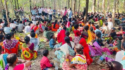 MLA Mandavi asked How is deforestation happening in scheduled areas without the consent of the Gram Sabha in