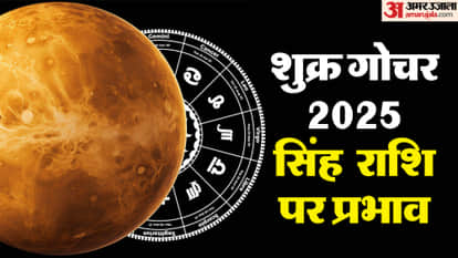 Venus Transit 2025 On 20 December 2025 In Dhanu Rashi Know Impact On Leo Zodiac Signs