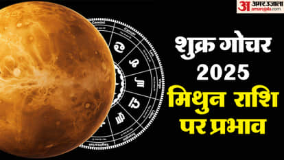 Venus Transit 2025 On 20 December 2025 In Dhanu Rashi Know Impact On Gemini Zodiac Signs