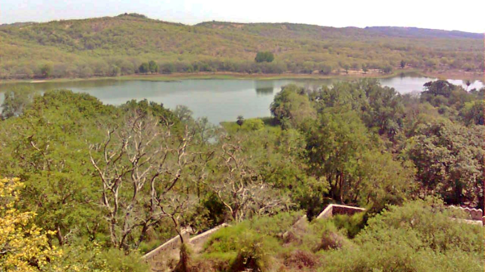 Aravalli crisis pushes sandy winds towards western UP