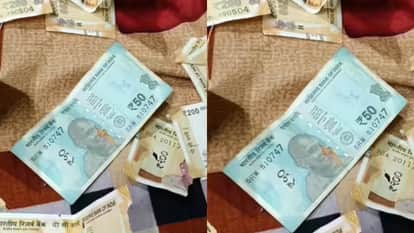 Rats gnawed 10 Thousand rupees man posted a question asking how the RBI would change the amount