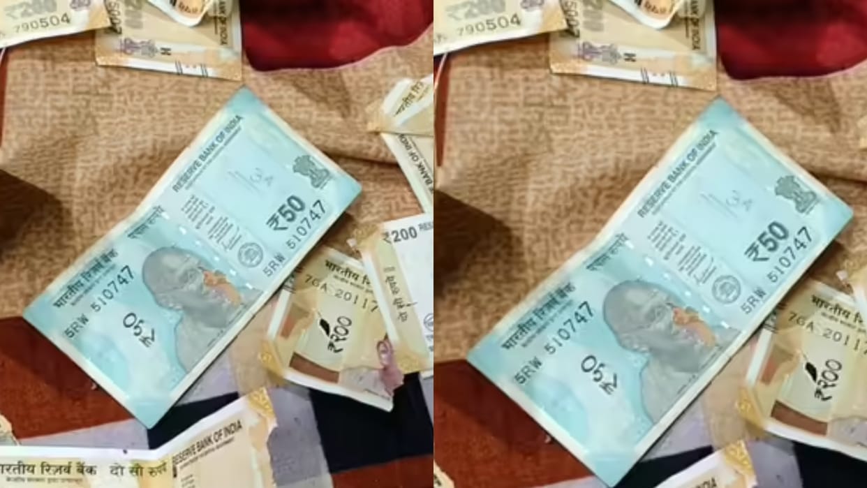 Rats gnawed 10 Thousand rupees man posted a question asking how the RBI would change the amount