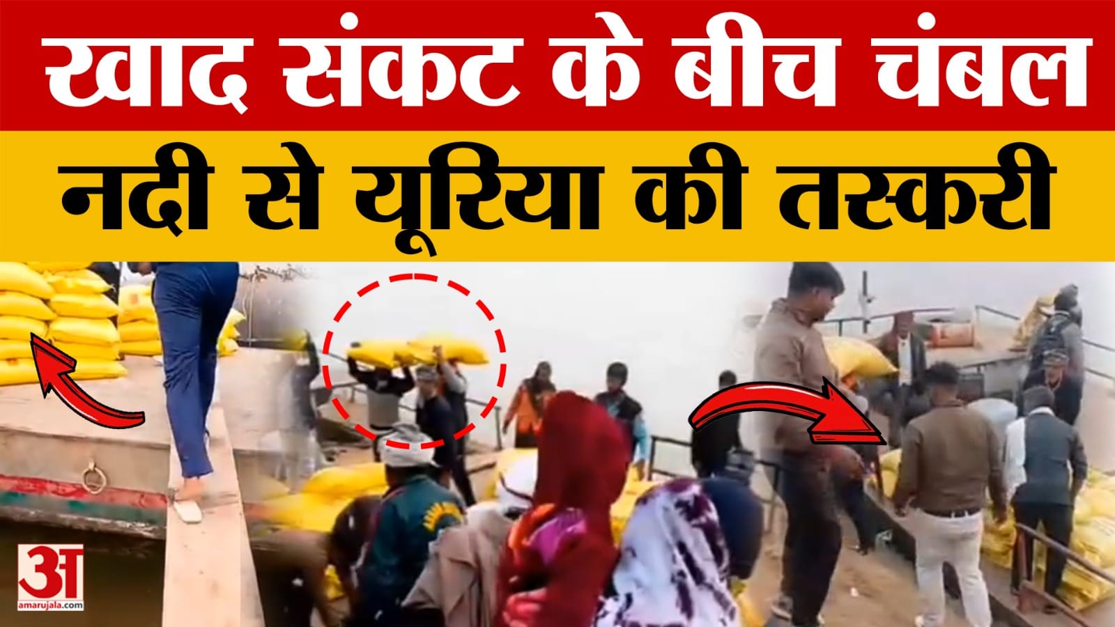 Fertilizer Shortage in Morena: लाइन में लाठी खा रहे किसान, स्टीमर से UP भेजा जा रहा MP का यूरिया