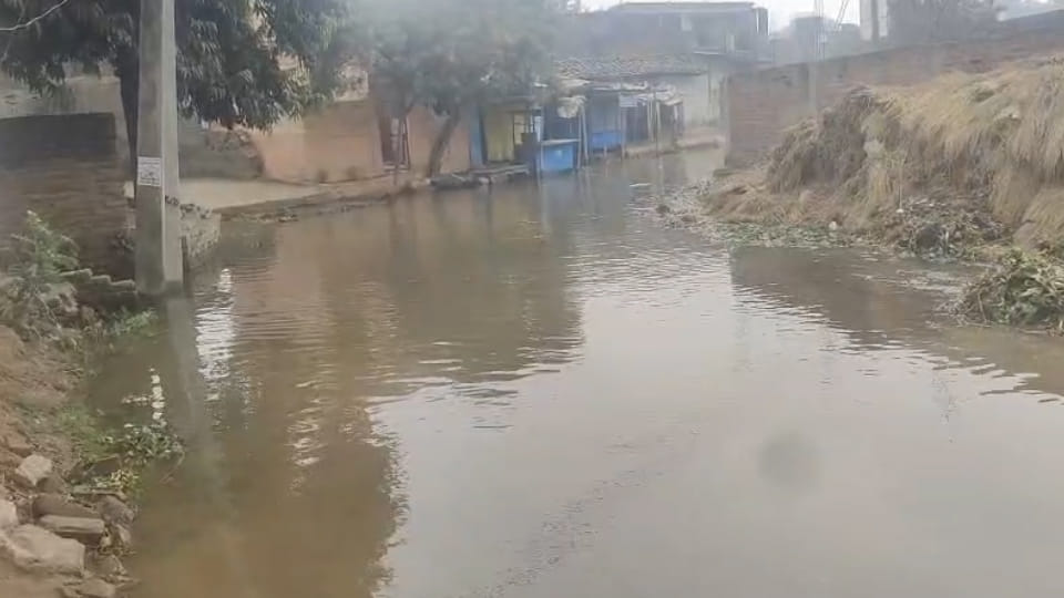 Fatehpur: Muttaur minor canal of Lower Ganga Canal breached, 500 bighas of crops submerged