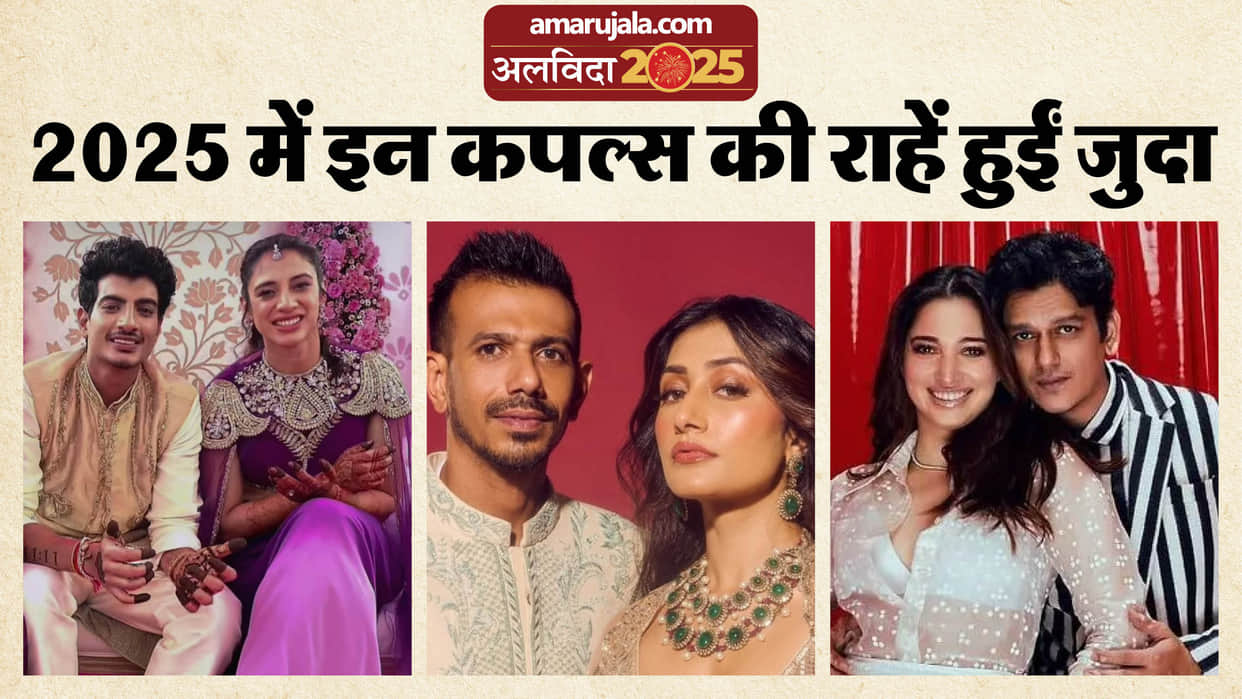 Year Ender 2025 Celebrities Divorce And Breakup Tamannaah Bhatia Vijay Verma Celina Jaitly Smriti Mandhana