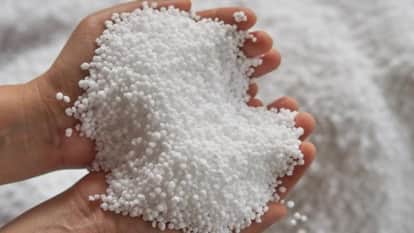 Fertilizer meant for Himachal is being sold on the black market in Punjab