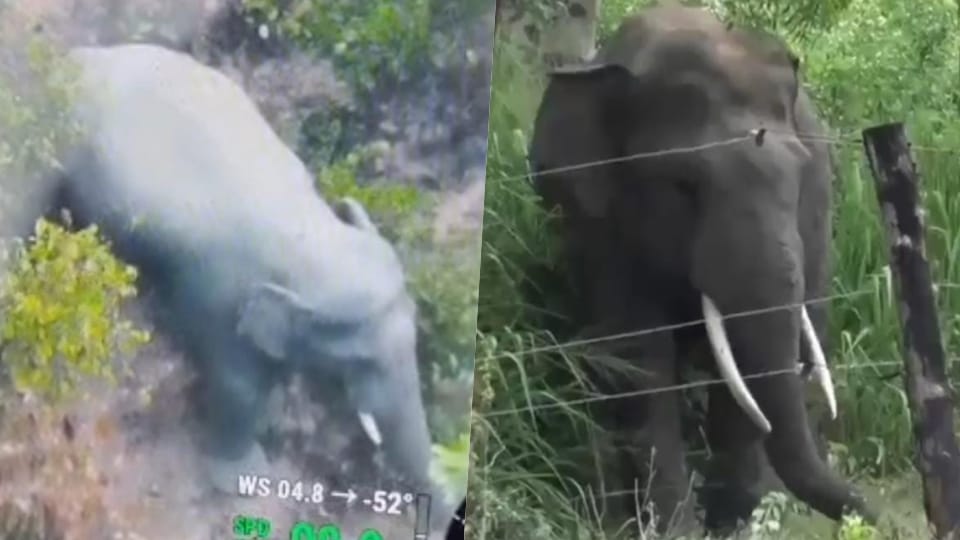 Several people have died in an elephant attack in Korba