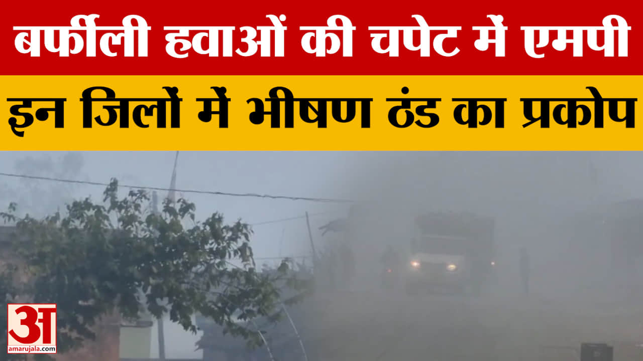 MP Weather : बर्फीली हवाओं की चपेट में एमपी, इन जिलों में भीषण ठंड का प्रकोप, पारा 4 डिग्री से नीचे