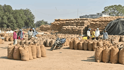 266155 metric tons of paddy were procured from 1-29 lakh registered farmers In Dhamtari