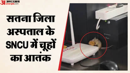 Satna News: Rats wreak havoc in the SNCU of Satna District Hospital.