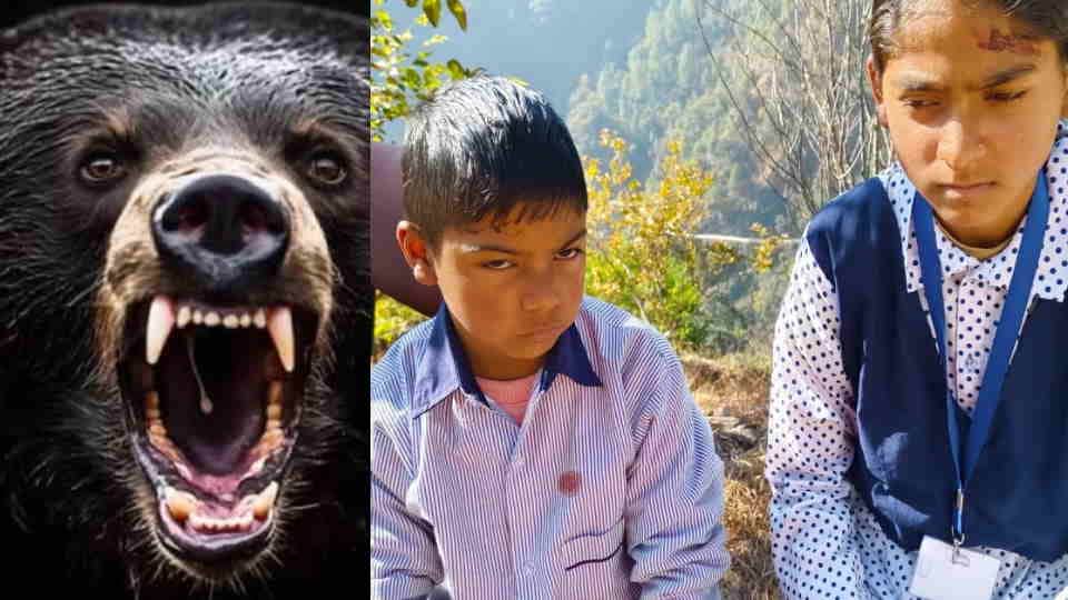 Chamoli News: bear dragged student from school premises but  Divya showed courage and pulled Aarav back