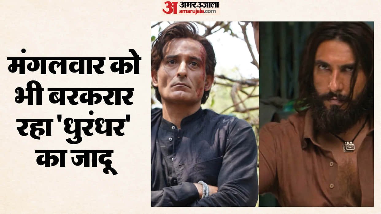 Ranveer Singh Starring Dhurandhar Day 19 Tuesday Box Office Collection Film Touch 600 Crore Earning Soon