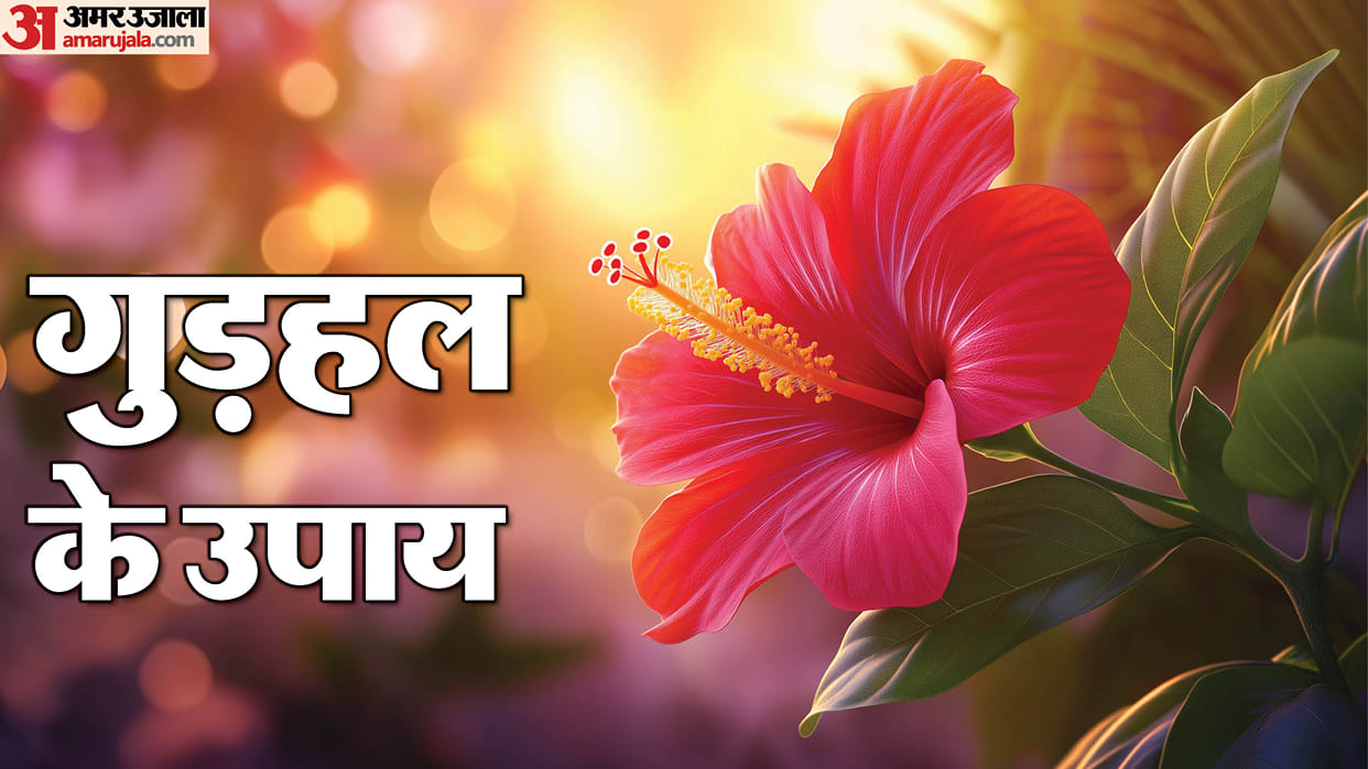 Wednesday Upay Gudhal Ke Upay For Mental Peace and Wealth