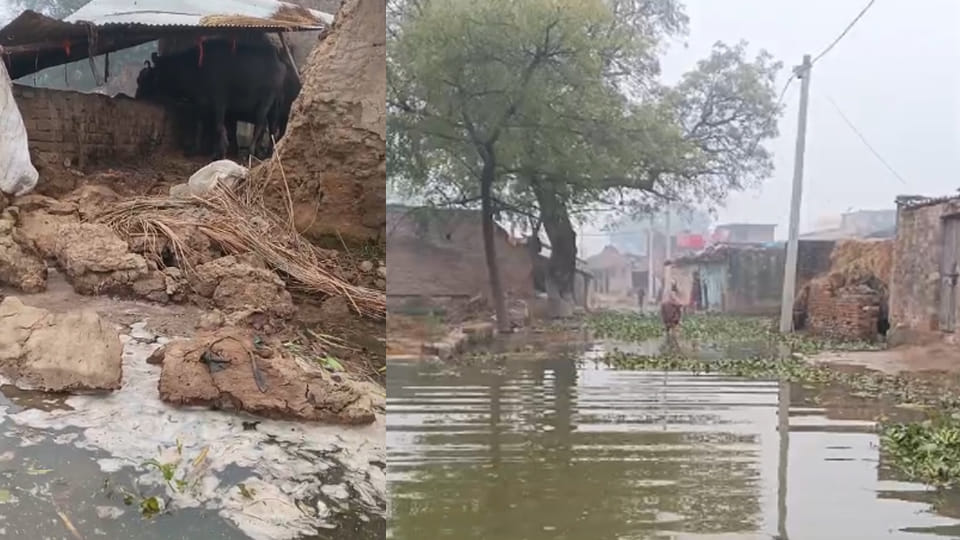 Fatehpur: Canal breach floods village, two houses collapse, 500 bighas of crops submerged