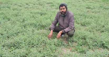 Kanpur Farmers Day multimillion dollar package He turned down  lucrative offer from abroad and chose farming