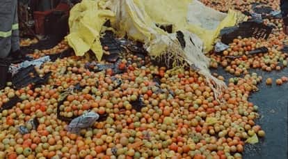 Kanpur Fog wreaks havoc on Yashoda Nagar elevated road pickup truck overturns two youths trapped in chassis