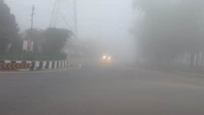 Weather Update Cold wave in Haryana Fog in Winters