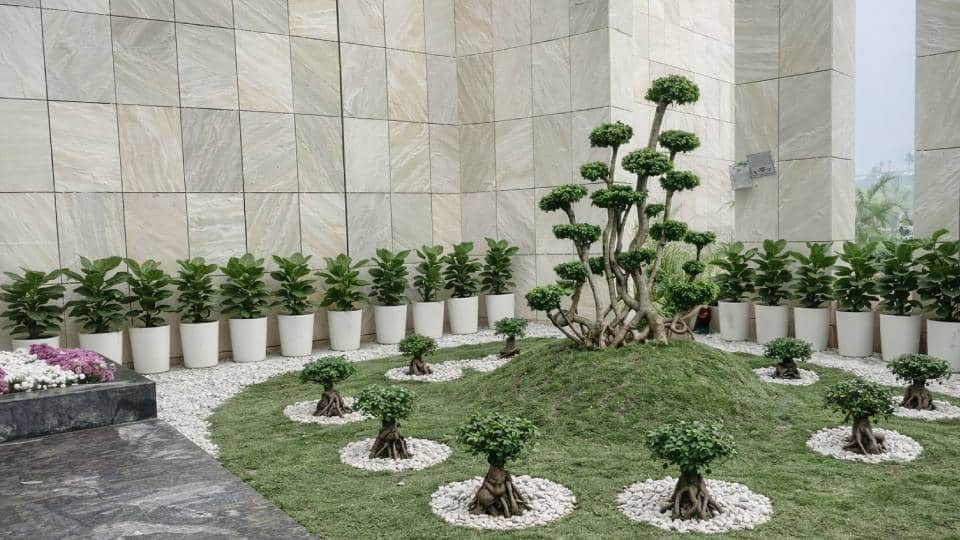 National Inspiration Place in Lucknow decorated with flowers and plants PM Modi to inaugurate on 25th December