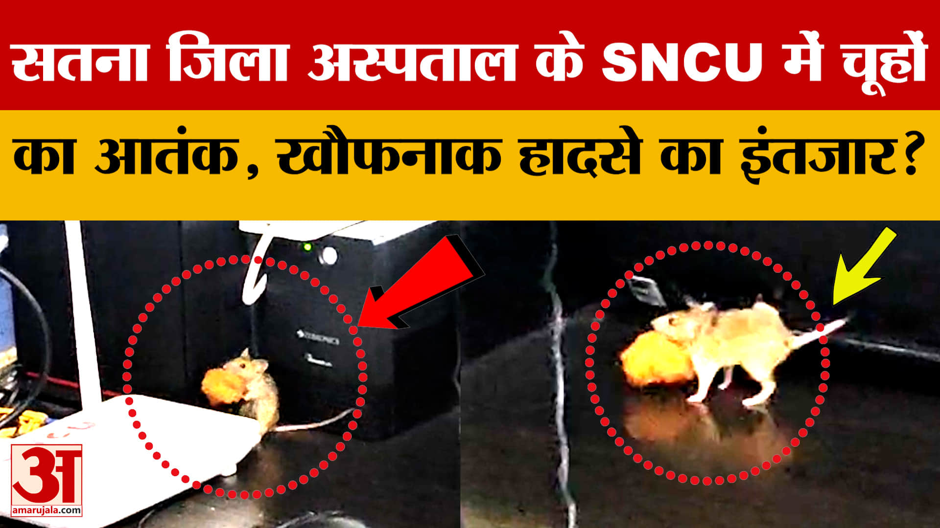 Satna District Hospital के SNCU में चूहों का आतंक, खौफनाक हादसे का हो रहा इंतजार?