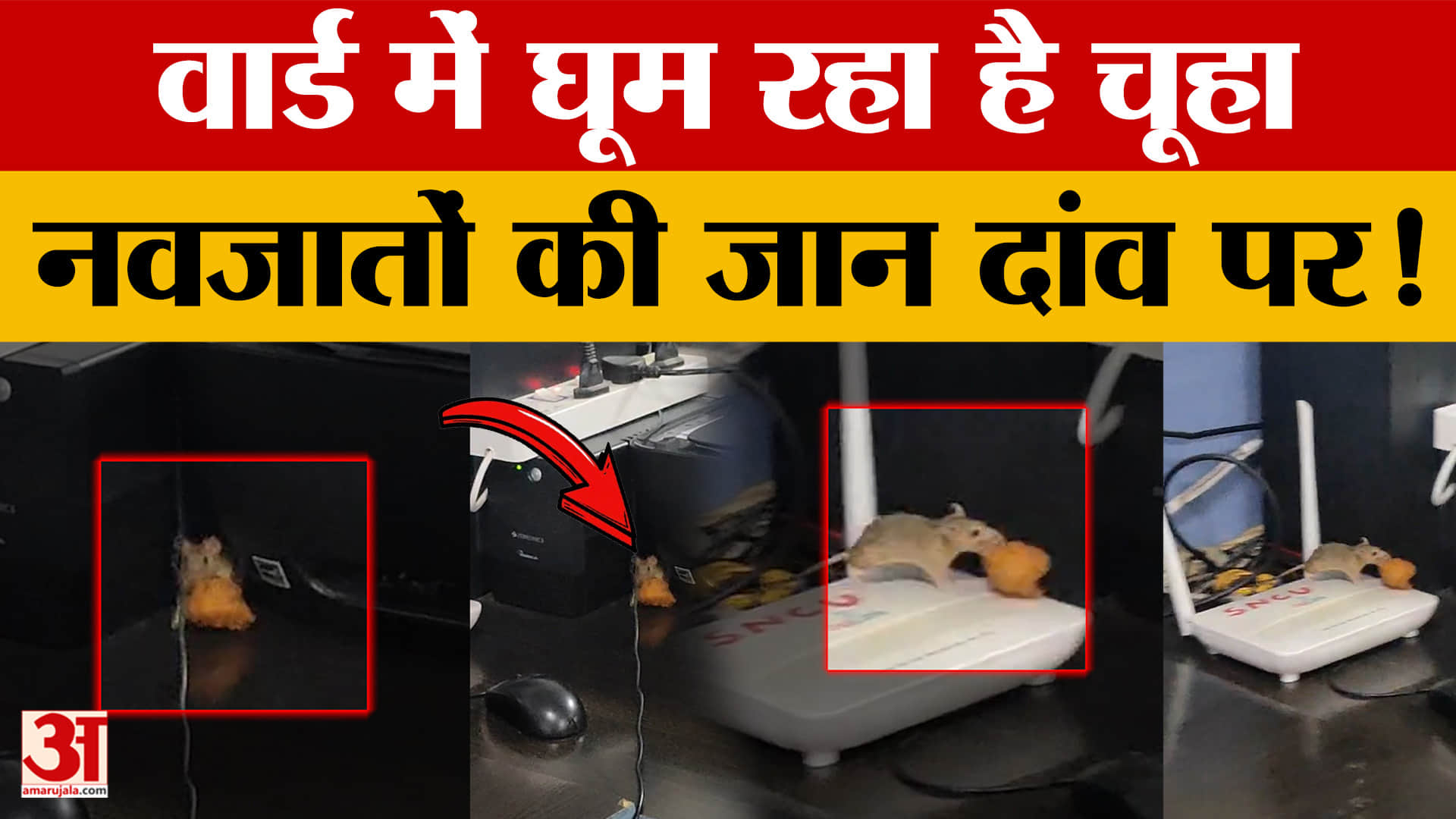 सतना जिला अस्पताल के SNCU में चूहे कर रहे 'मुंगौड़ी पार्टी', Viral Video दे रही लापरवाही के सबूत | M