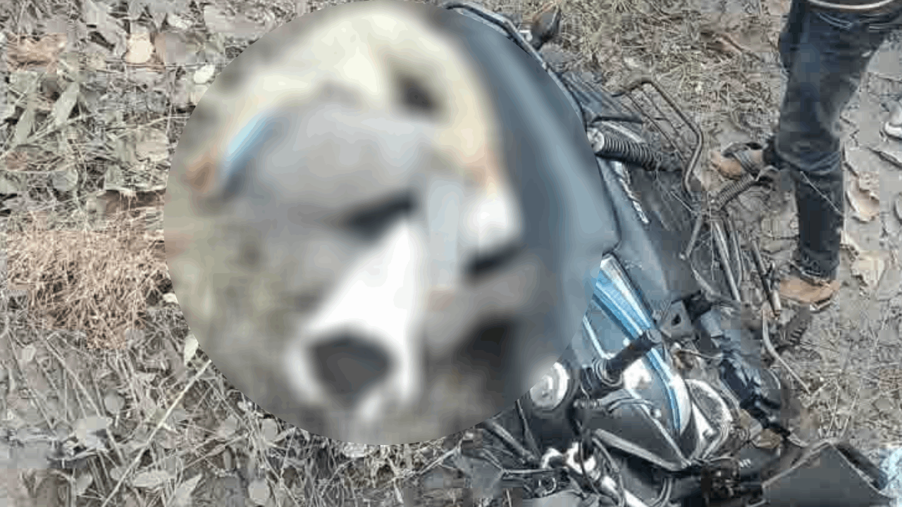 सड़क हादसे में मौत