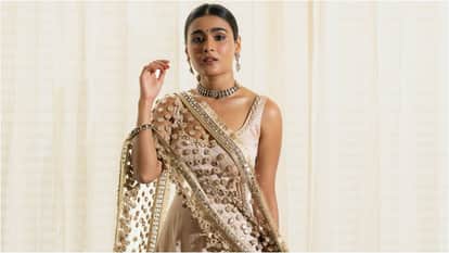 Shalini Pandey Called Ranveer Singh And Hrithik Roshan Her Favourite Actor Says Want To Did An Action Movie