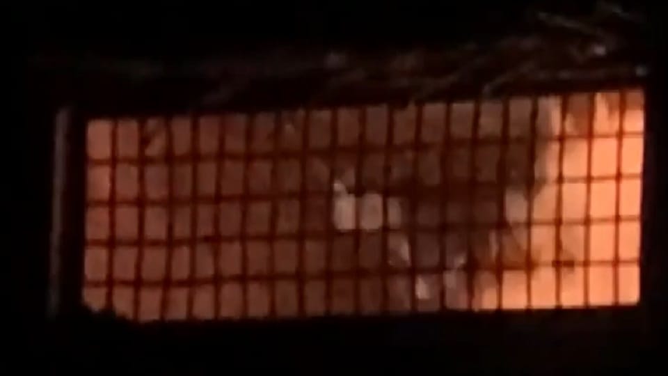 Fire breaks out in shops near a vegetable market in Hapur three shops gutted