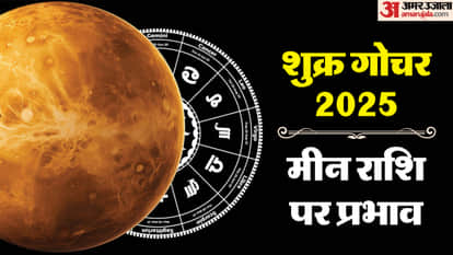 Venus Transit 2025 On 20 December 2025 In Dhanu Rashi Know Impact On Pisces Zodiac Signs