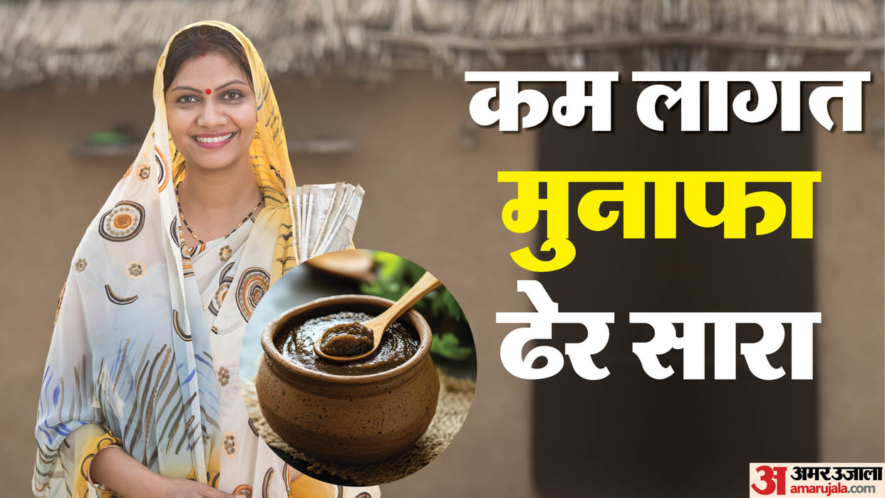 winter business idea for woman homemade chyawanprash business full detail in india