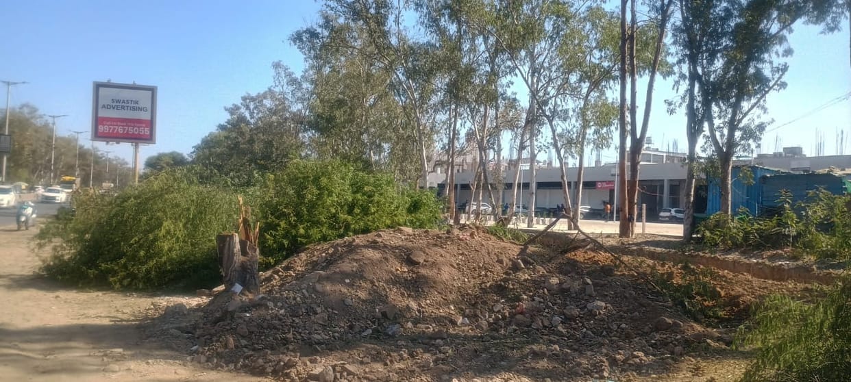 Bhopal News: NGT takes strict action against tree cutting on Ayodhya Bypass in Bhopal, imposes a ban until Jan