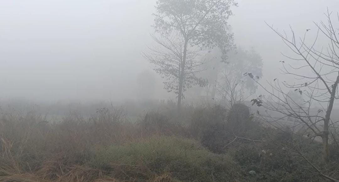 बिहार के कई जिलों में कोहरे का अलर्ट जारी किया गया है।
