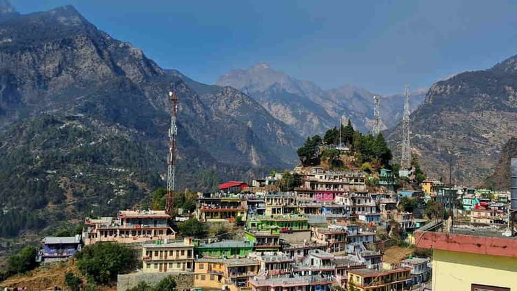 Chamoli: मौसम का चक्र गड़बड़ाया...दिसंबर में जहां रहती थी बर्फ, अब उगने लगे पाैधे, बढ़ने लगी चिंता